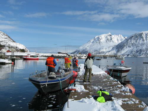 kveten v Sor-Tverrfjord