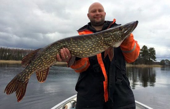 velikonocni stika 107 cm, 20. dubna velikonocni stika 107 cm, 20. dubna
