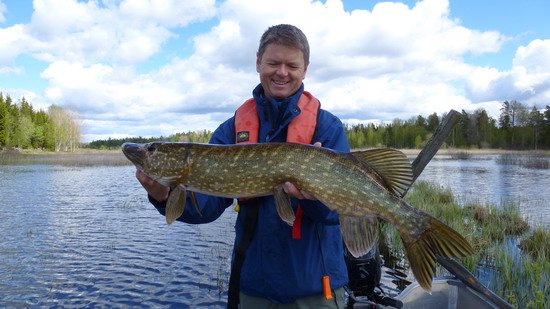 stika 92 cm ulovena v travnatych melcinach, kveten stika 92 cm ulovena v travnatych melcinach, kveten
