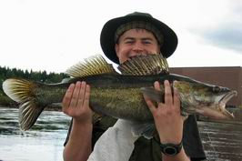 +Falkudencandat73cm +Falkudencandat73cm