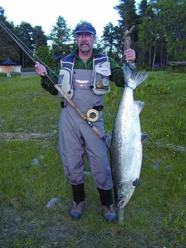 neda_alvkarleby_salmon neda_alvkarleby_salmon