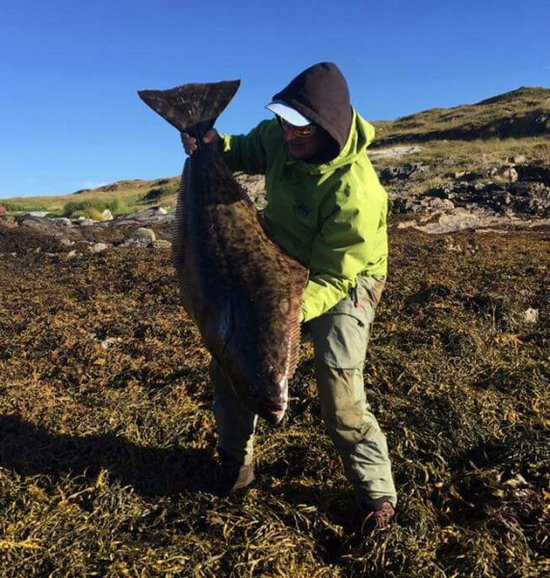 Halibut 120 cm