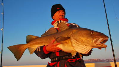 treska obecna 120 cm, 20,5 kg, Sudureyri, 21.kvetna treska obecna 120 cm, 20,5 kg, Sudureyri, 21.kvetna