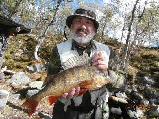 Okoun 47 cm z Tannas Okoun 47 cm z Tannas