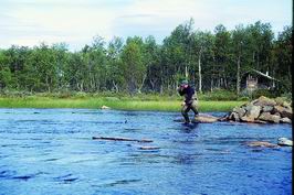 Tannas-Mysklanriver Tannas-Mysklanriver