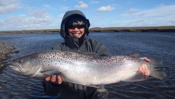 morsky pstruh z Rio Grande, leden - Cheryl morsky pstruh z Rio Grande, leden - Cheryl