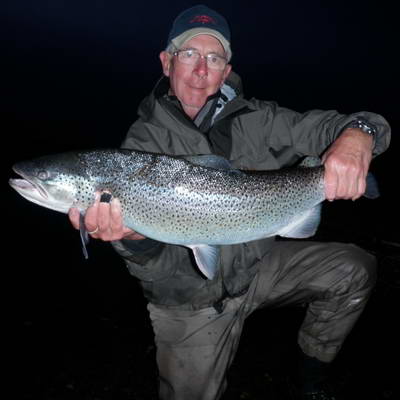 morsky pstruh z Rio Grande, leden-Peter morsky pstruh z Rio Grande, leden-Peter