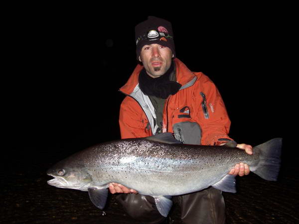 morsky pstruh 12 kg morsky pstruh 12 kg