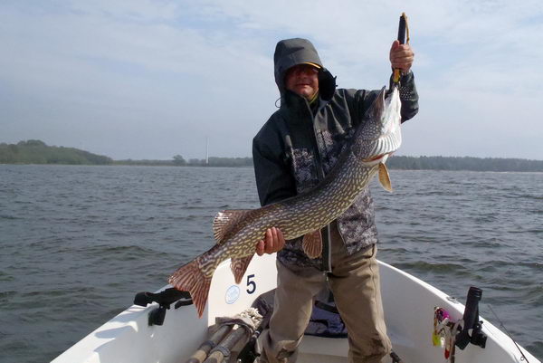 kvetnova stika 115 cm z Vanernu kvetnova stika 115 cm z Vanernu