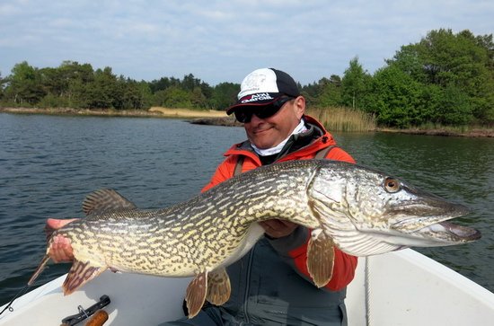stika 112 cm, kveten na Vanern stika 112 cm, kveten na Vanern