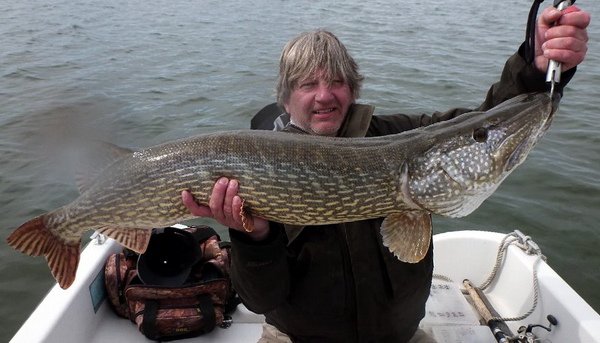 stika 123 cm, kveten na Vanern stika 123 cm, kveten na Vanern