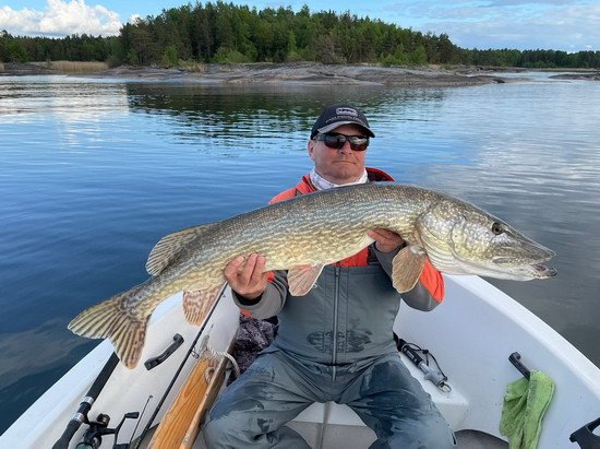 stika 121 cm, kveten na jezere Vanern