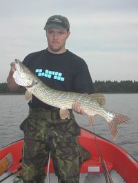 stika94cmblesk stika94cmblesk