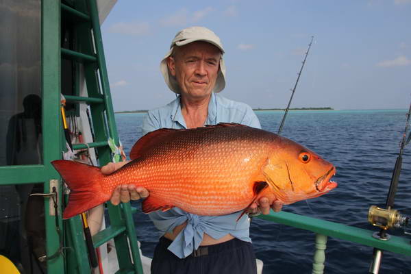 chnapal - snapper uloveny na stickbait