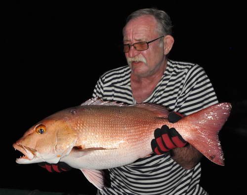 chnapal - snapper 80 cm