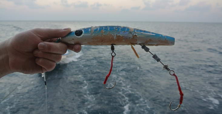 stickbait po uloveni druhe ryby - kranase 25 kg stickbait po uloveni druhe ryby - kranase 25 kg