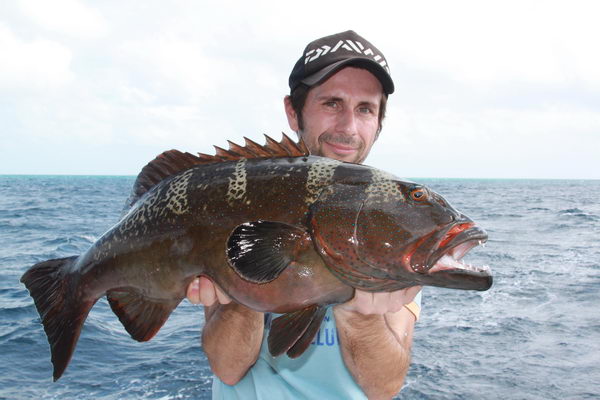 kanic 80 cm kanic 80 cm