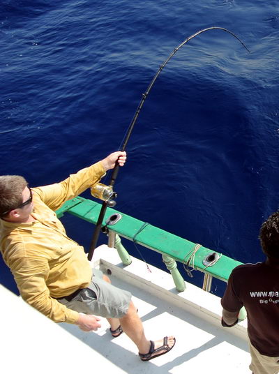 mecoun - blue marlin - 277 cm, zdolavani