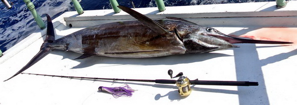 mecoun - blue marlin, 277 cm - zdolano