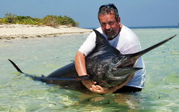 mecoun - blue marlin, 277 cm