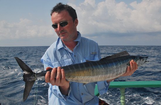 polamida - wahoo 90 cm polamida - wahoo 90 cm