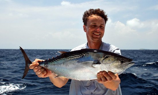 pelamida - bonito o hmotnosti 4 kg, uloveno na popp pelamida - bonito o hmotnosti 4 kg, uloveno na popp