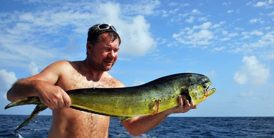 dorado - koryfena, zlak nachovy 103 cm dorado - koryfena, zlak nachovy 103 cm