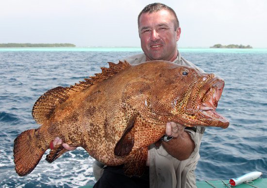 kanic - grouper 20 kg uloveny na popp