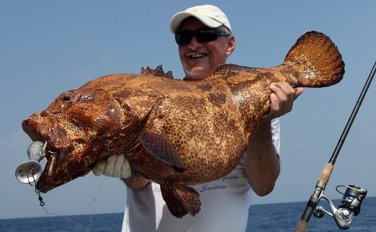kanic - grouper 20 kg uloveny na popp
