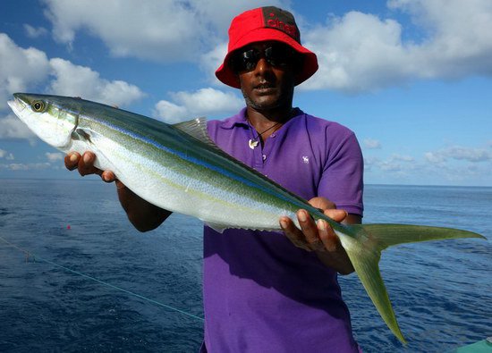 kranas duhovy - rainbow runner 80 cm kranas duhovy - rainbow runner 80 cm