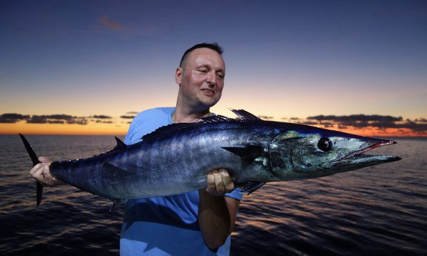 pelamida - wahoo 125 cm pelamida - wahoo 125 cm