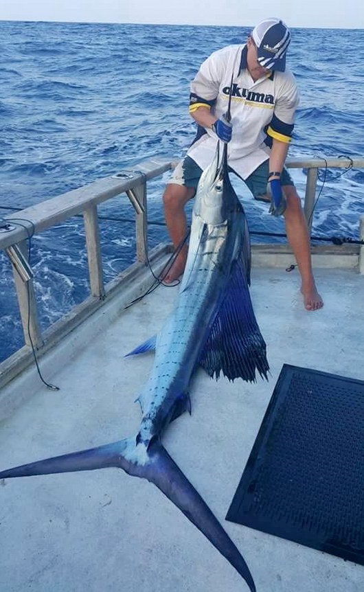 plachetnik delky 288 cm uloveny 4.unora plachetnik delky 288 cm uloveny 4.unora