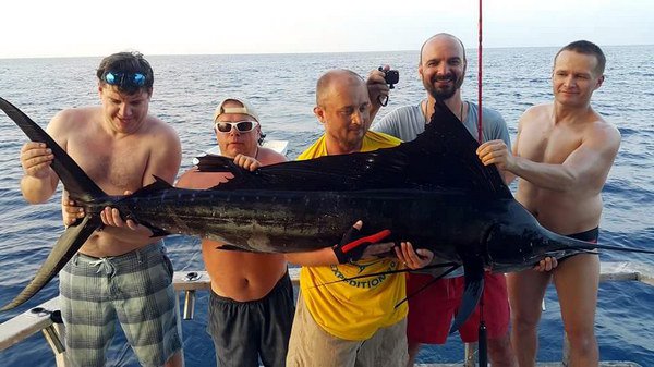 Martinuv prvni plachetnik-sailfish Martinuv prvni plachetnik-sailfish