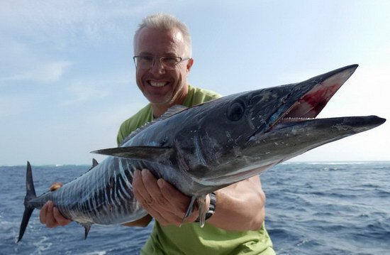 wahoo - makrela Solandrova ulovena na trolling wahoo - makrela Solandrova ulovena na trolling