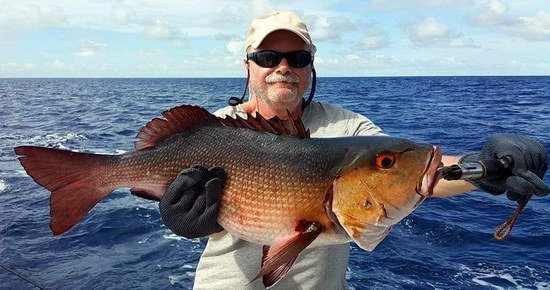 chnapal - snapper uloveny na popp chnapal - snapper uloveny na popp