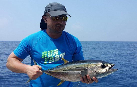 maly tunak zlutoploutvy - sashimi k veceri maly tunak zlutoploutvy - sashimi k veceri