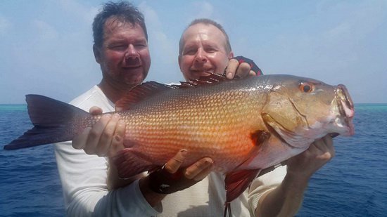 chnapal - red snapper uloveny na jerk