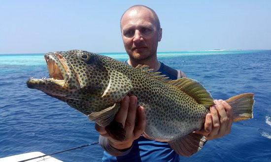 kanic utaty 70 cm uloveny na jerk kanic utaty 70 cm uloveny na jerk