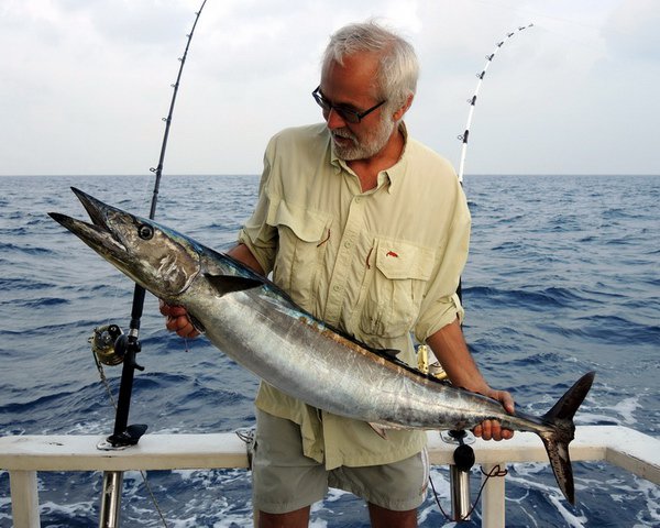 makrela Solandrova - wahoo 120 cm, uloveno na trolling makrela Solandrova - wahoo 120 cm, uloveno na trolling