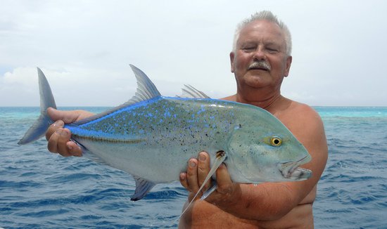 kranas modroploutvy - bluefin uloveny na popp kranas modroploutvy - bluefin uloveny na popp