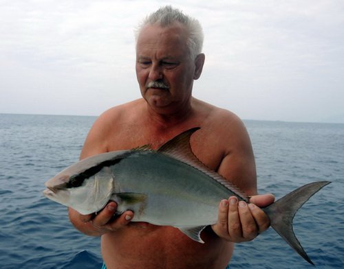kranas Dumerilluv - amberjack uloveny na jig kranas Dumerilluv - amberjack uloveny na jig