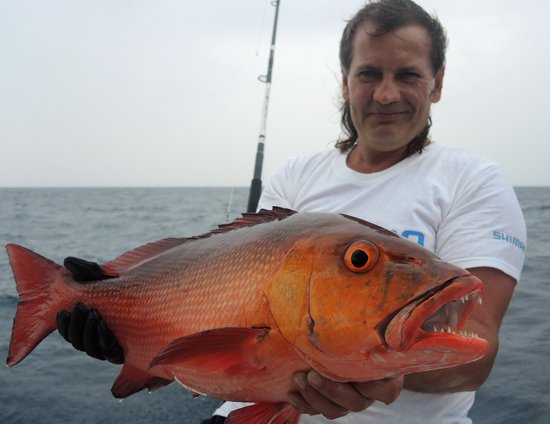 chnapal - red snapper 67 cm, 4,9 kg chnapal - red snapper 67 cm, 4,9 kg