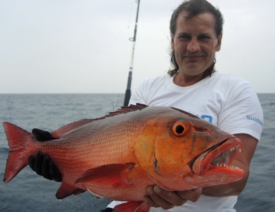 chnapal - red snapper 67 cm, 4,9 kg