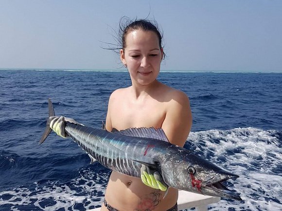 makrela Solandrova - wahoo makrela Solandrova - wahoo