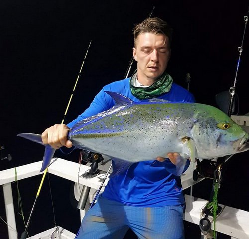 kranas modroploutvy - bluefin, nocni privlac kranas modroploutvy - bluefin, nocni privlac