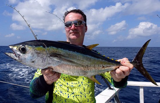 tunak zlutoploutvy 70 cm, 4 kg tunak zlutoploutvy 70 cm, 4 kg