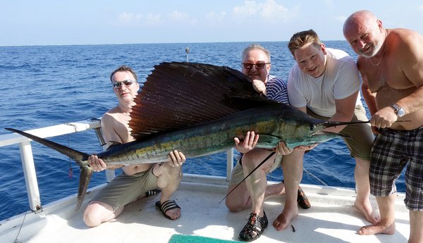 plachetnik - sailfish 220 cm