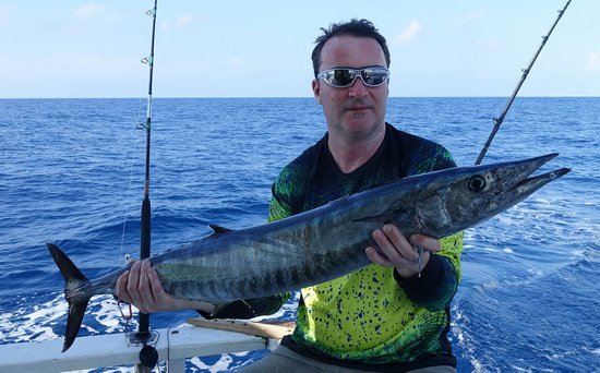 makrela Solandrova - wahoo 120 cm makrela Solandrova - wahoo 120 cm
