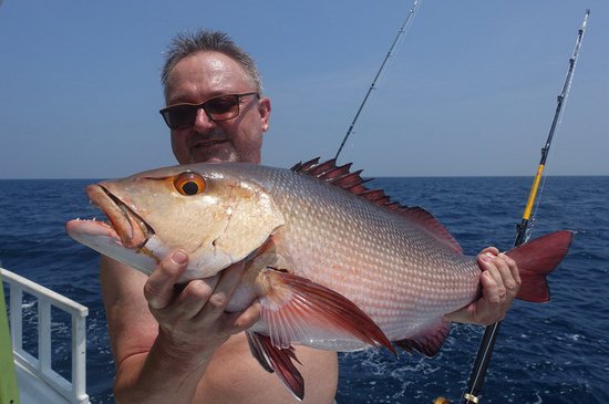 chnapal - red snapper 65 cm uloveny na privlac