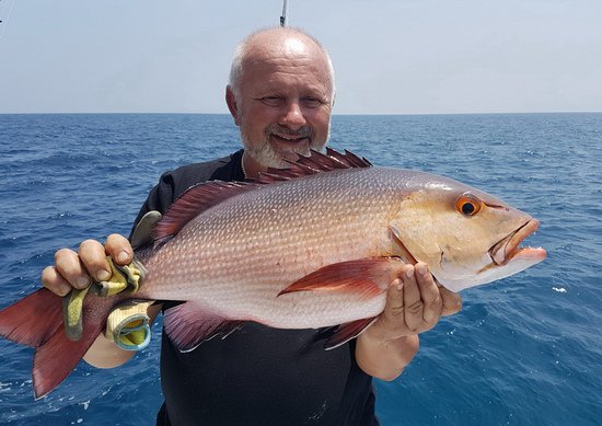 chnapal - red snapper 60 cm uloveny na privlac